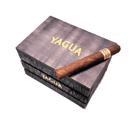 Yagua by J.C Newman Cigars